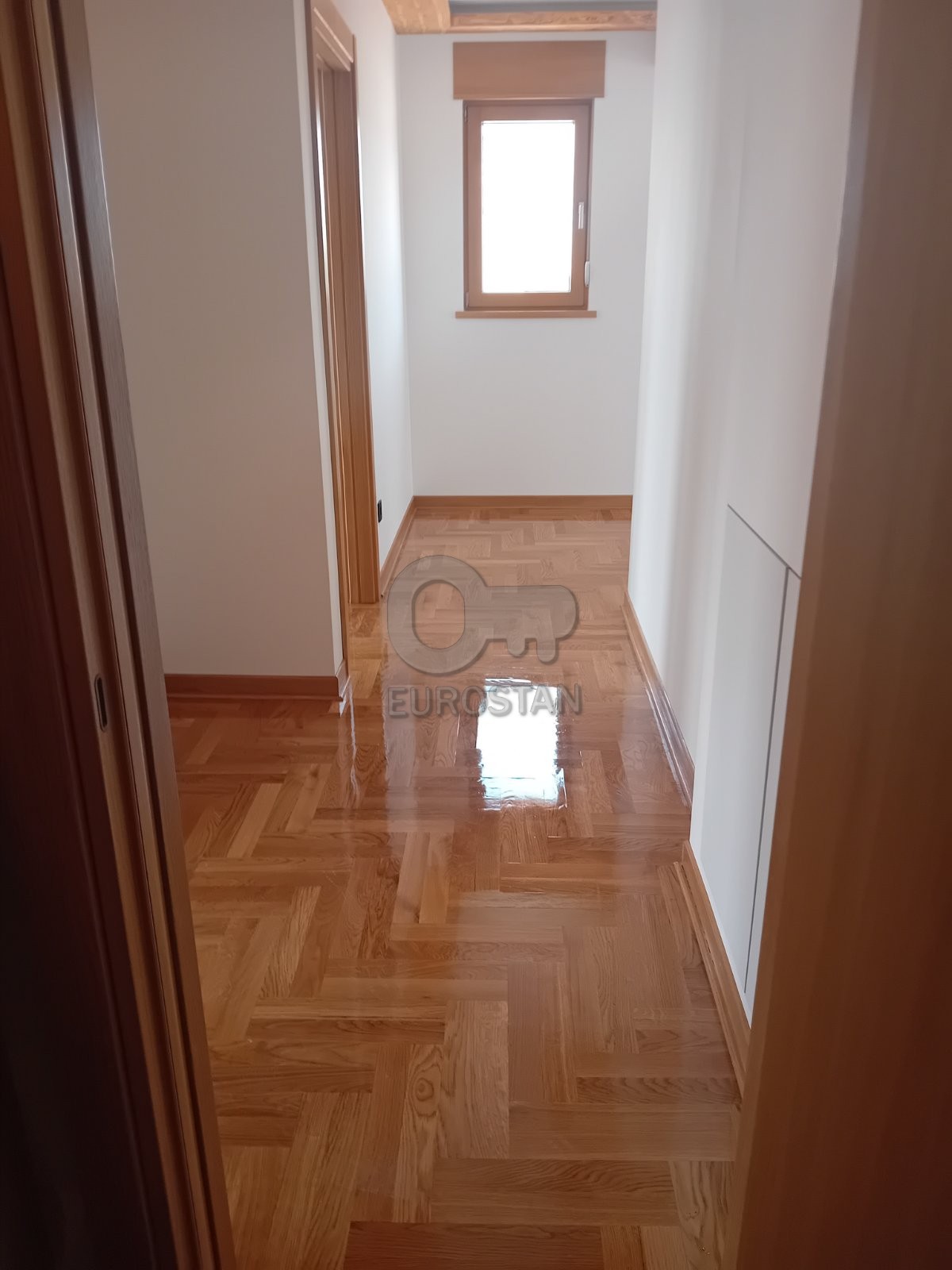 Braće Ribnikar Slavijev venac ID#43604