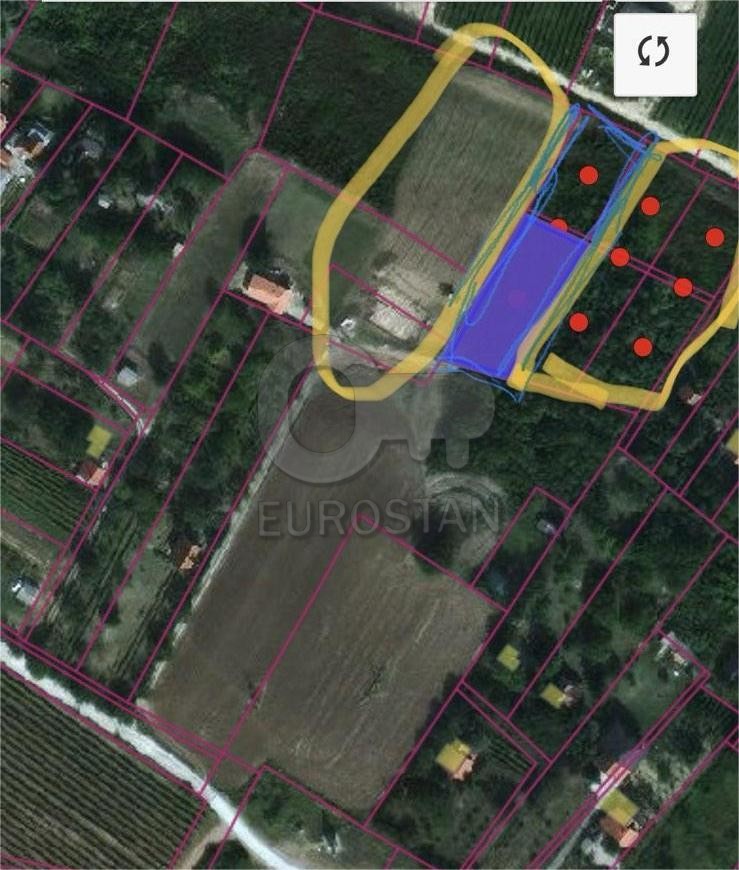 Počenta Stari Slankamen ID#43751