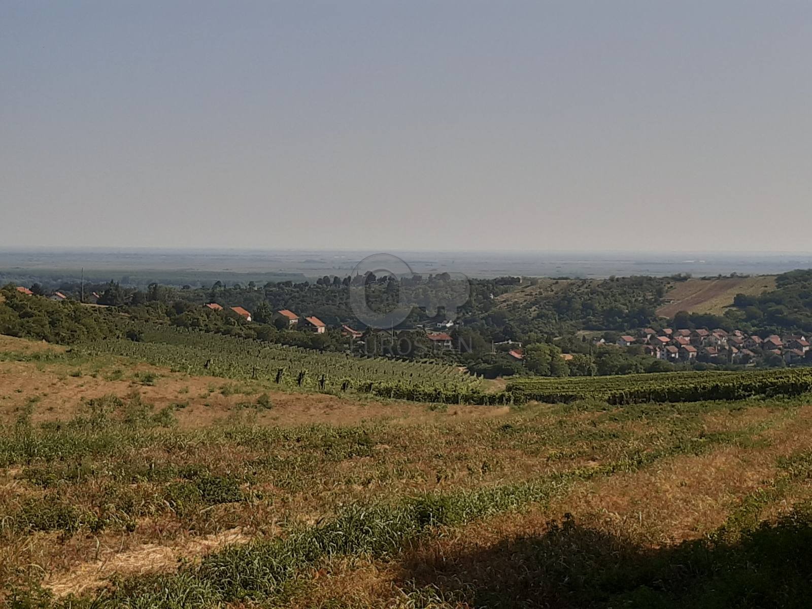 Panoramska staza Sremski Karlovci ID#43850