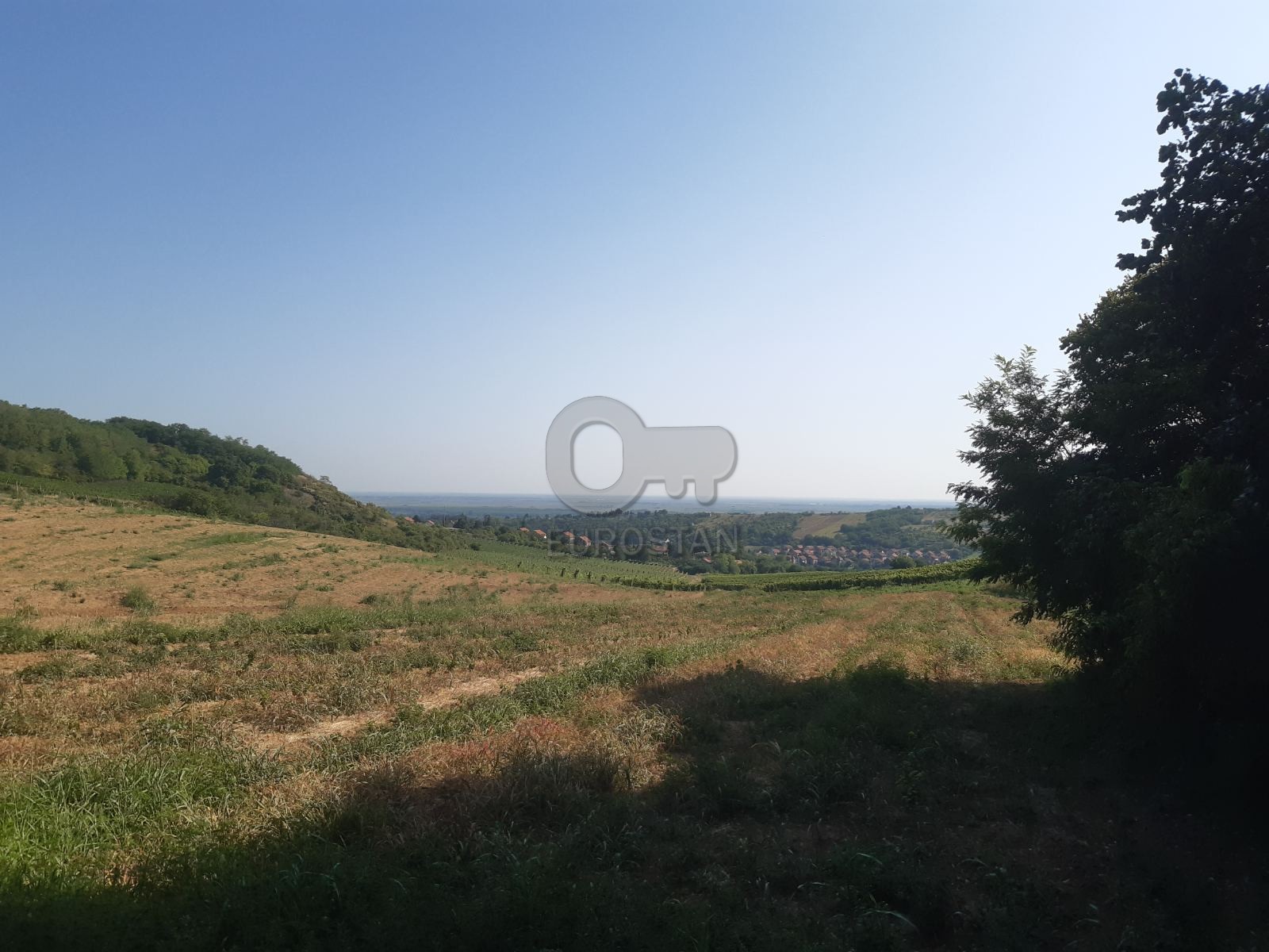 Panoramska staza Sremski Karlovci ID#43850