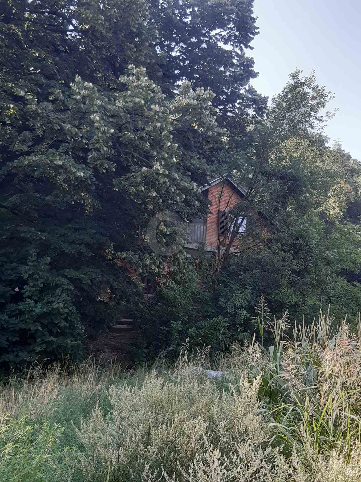 Panoramska staza Sremski Karlovci ID#43850