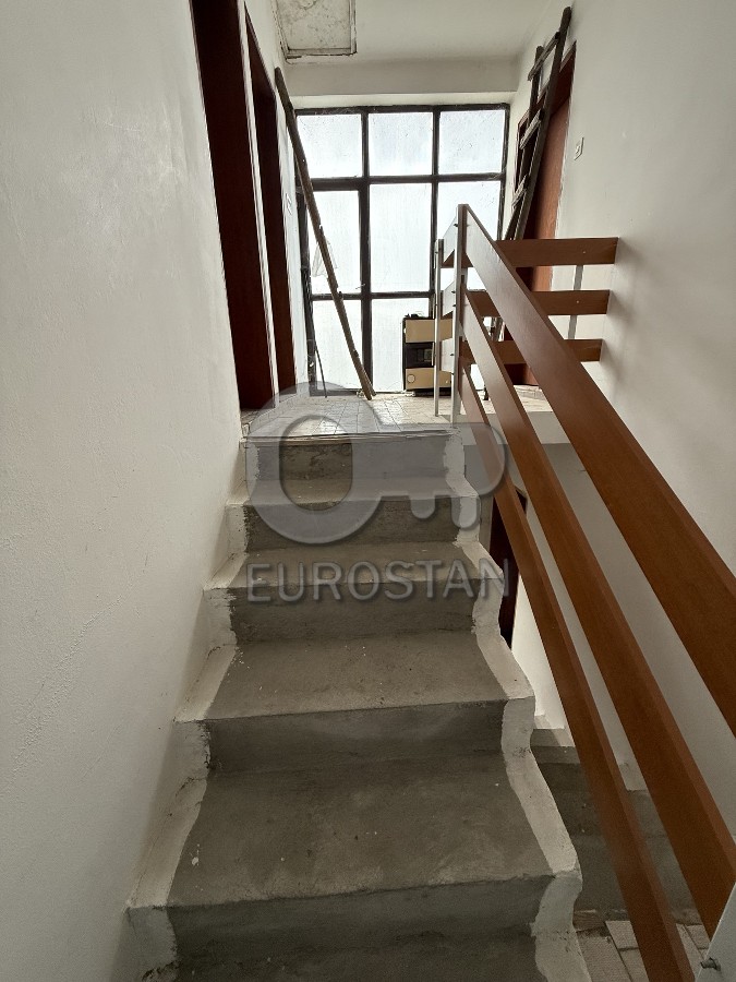 Beogradska Rušanj ID#43867