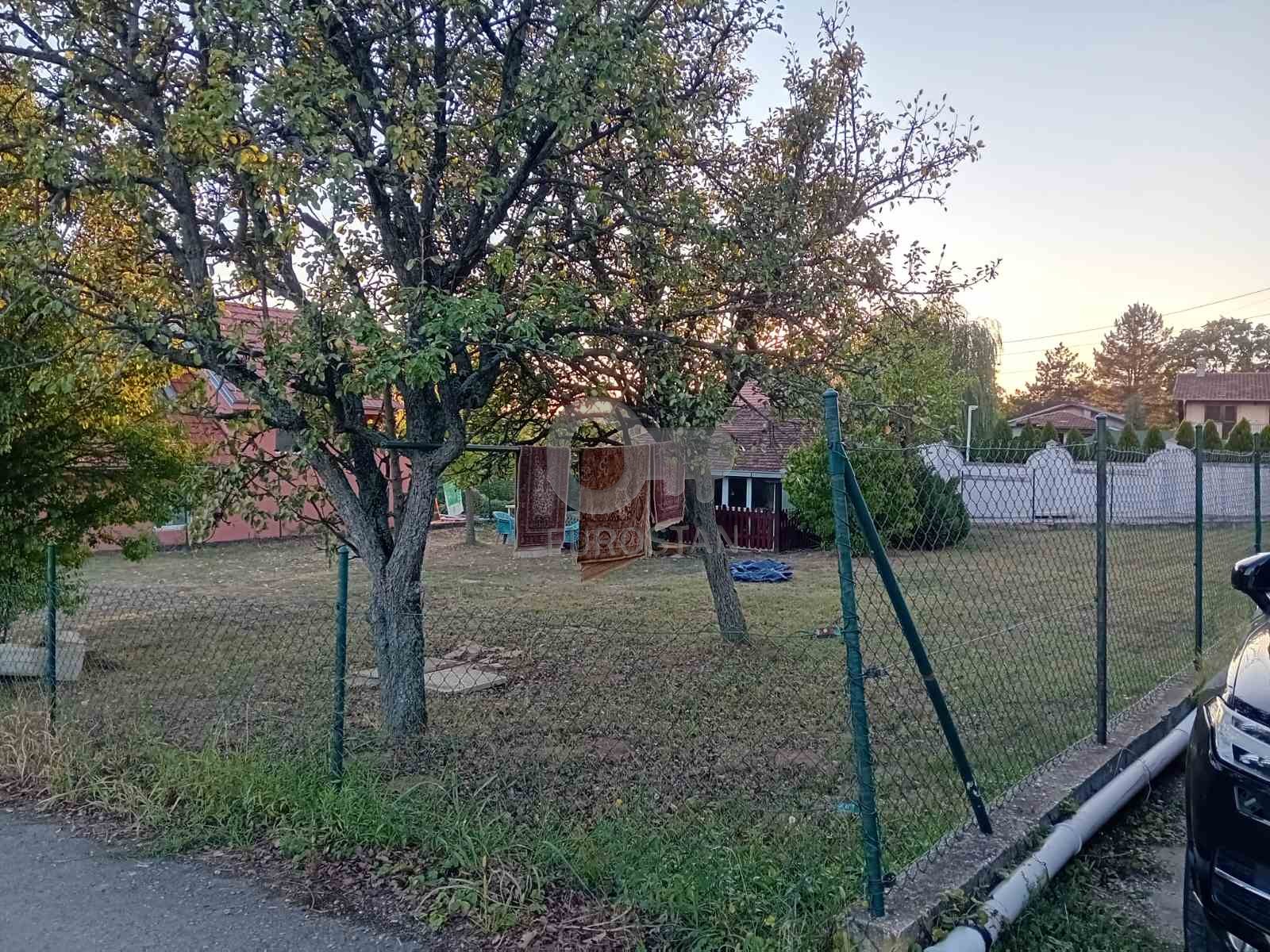 Slađane Stanković Miljakovac 3 ID#43897