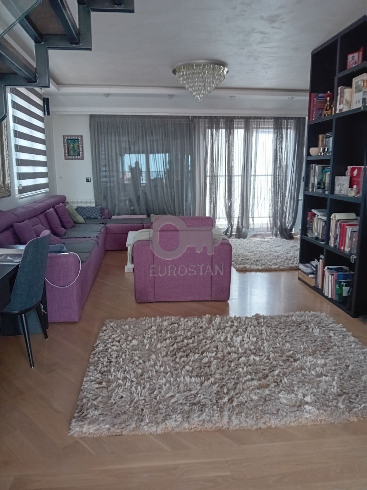 Miloša Zečevića Lion ID#43907