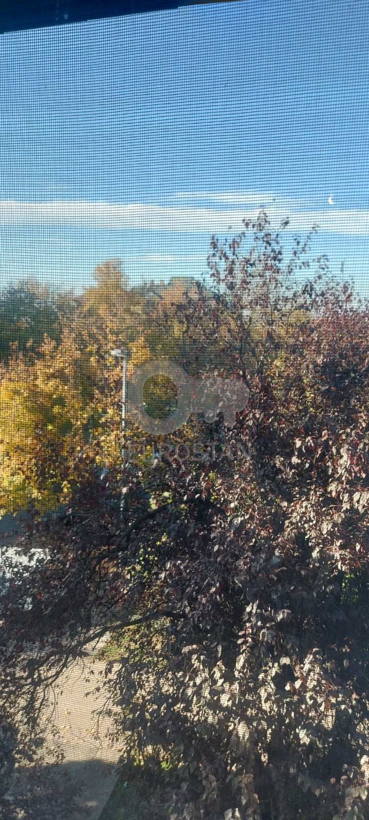 Ilije Stojadinovića Filmski grad ID#43930