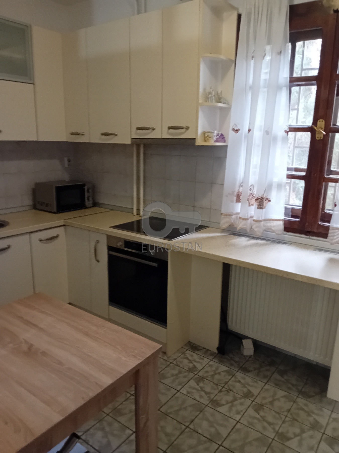 Diane Budisavljević Dedinje ID#43941