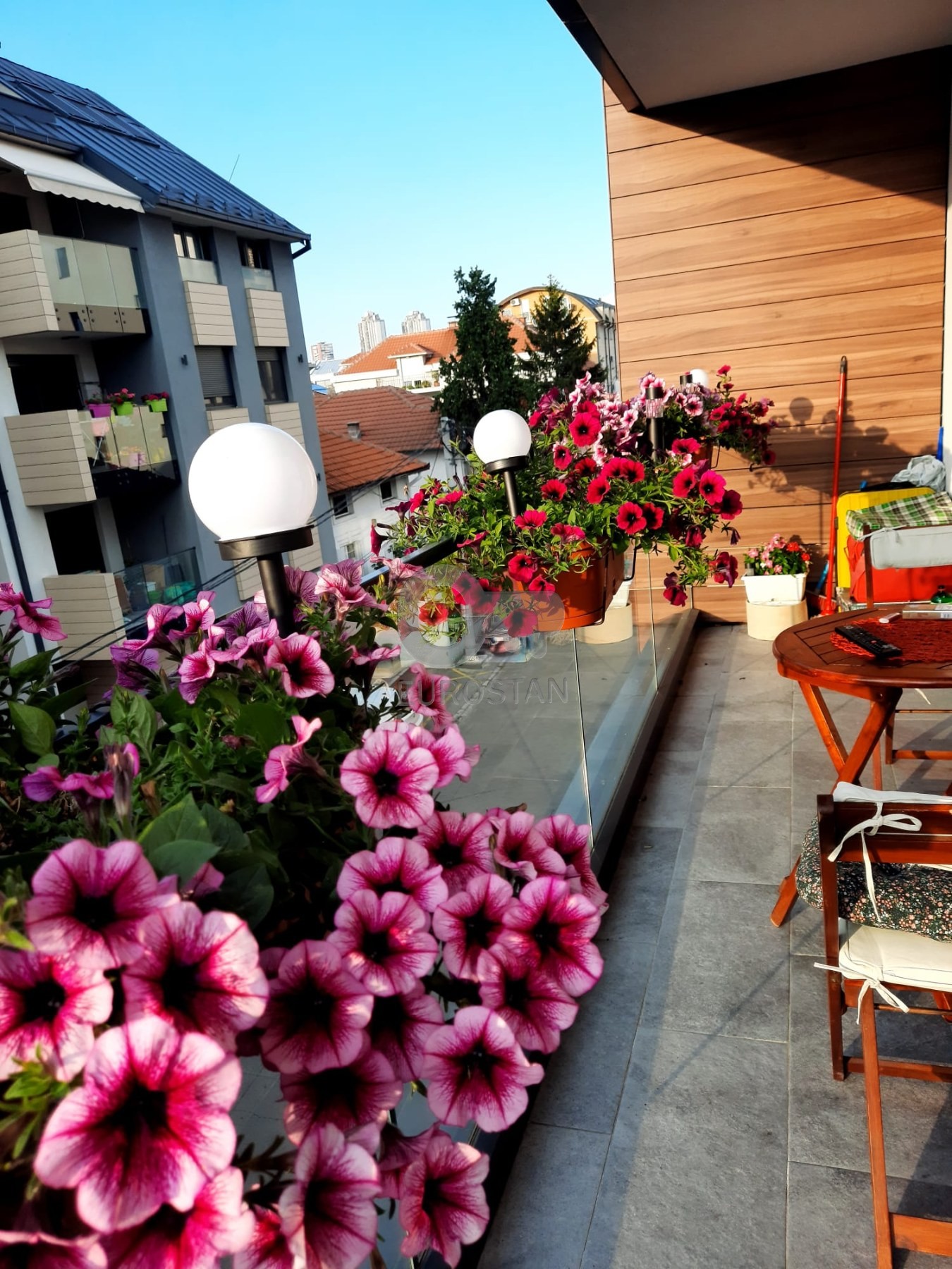 Belička Lekino brdo ID#43942