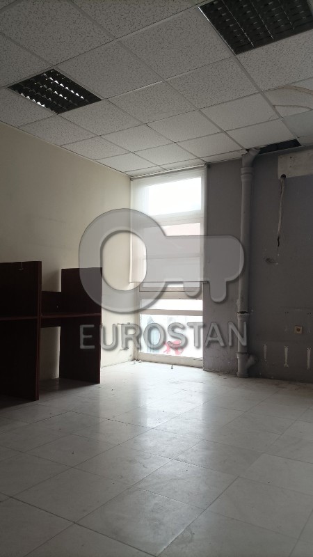 Bitoljska Cerak ID#43945