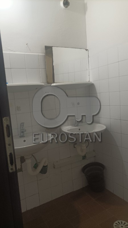 Bitoljska Cerak ID#43945