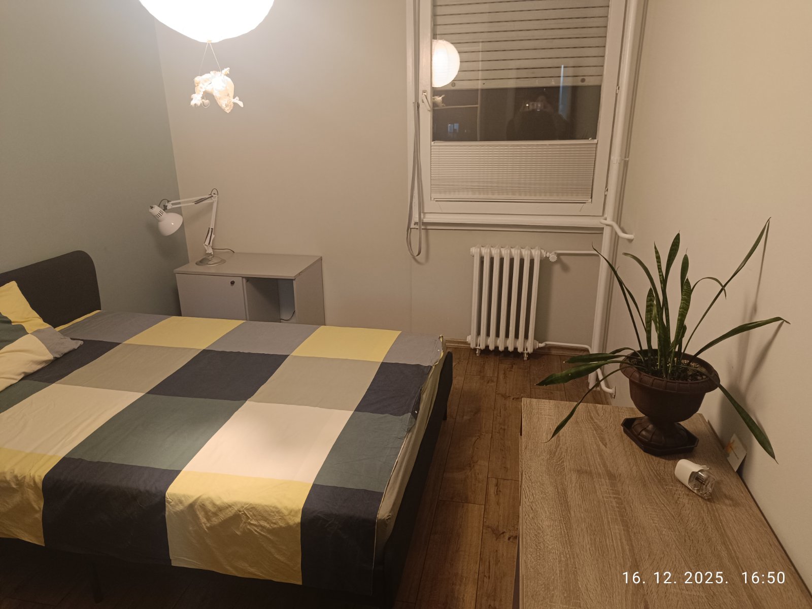 Bele Bartoka Borča ID#43953