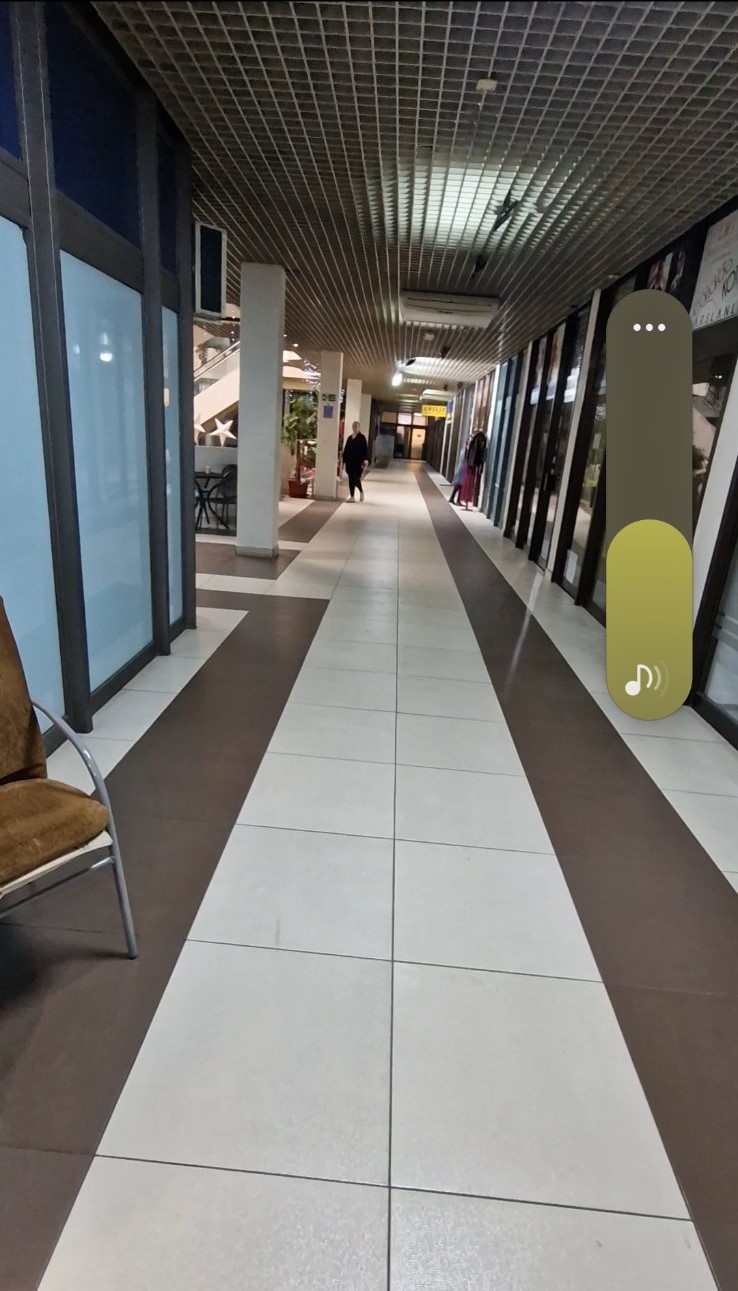 Paunova Banjica ID#43965