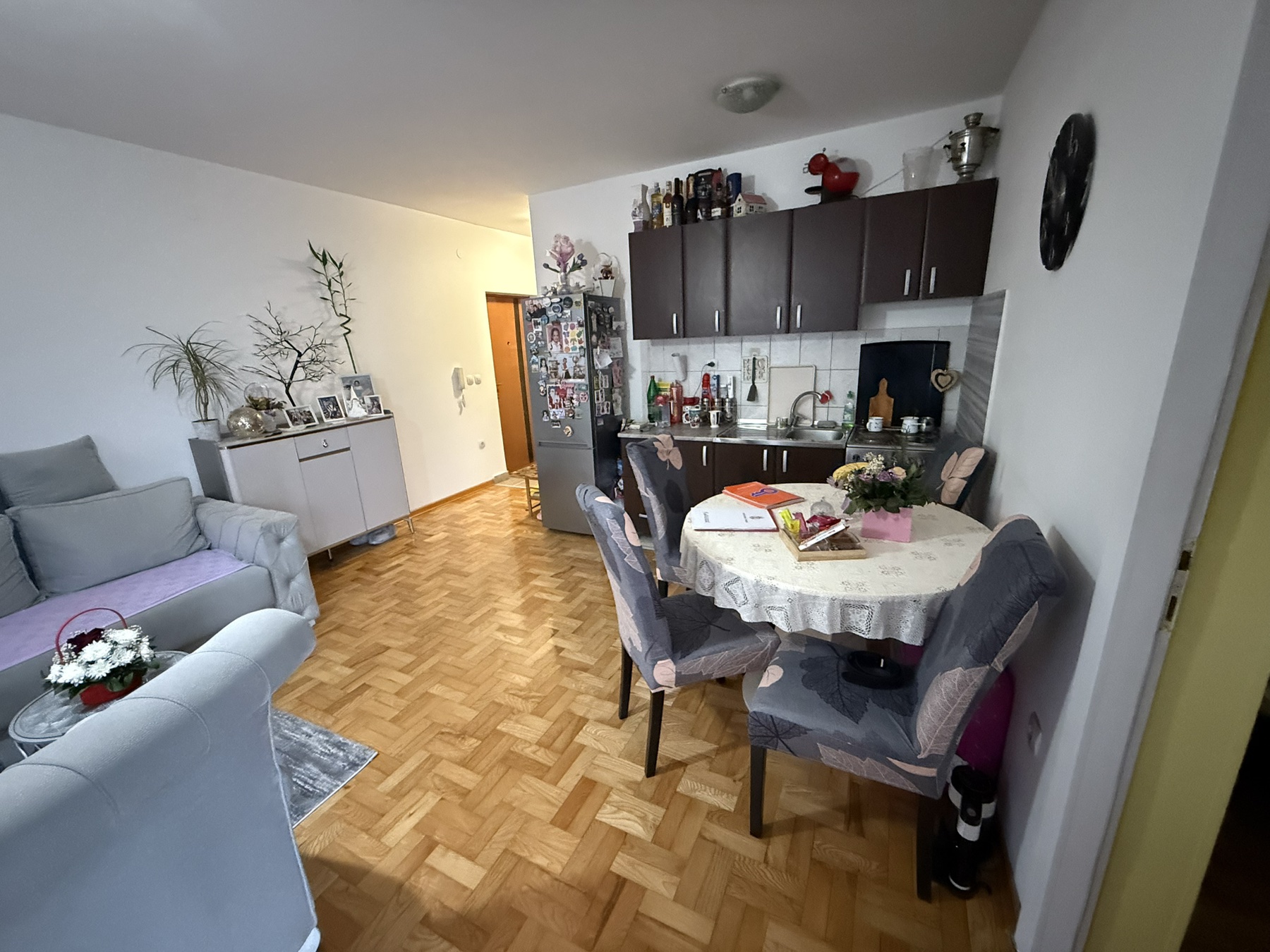 Dimitrija Koturovića Miljakovac ID#43971