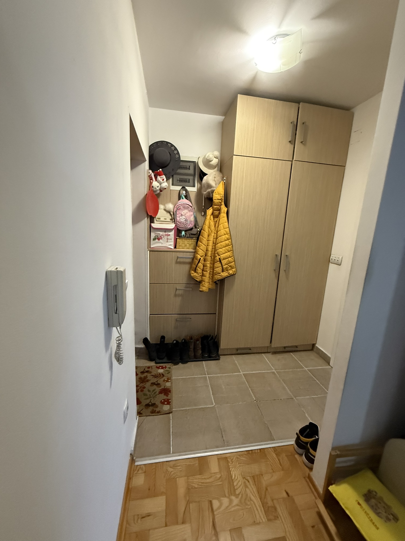 Dimitrija Koturovića Miljakovac ID#43971