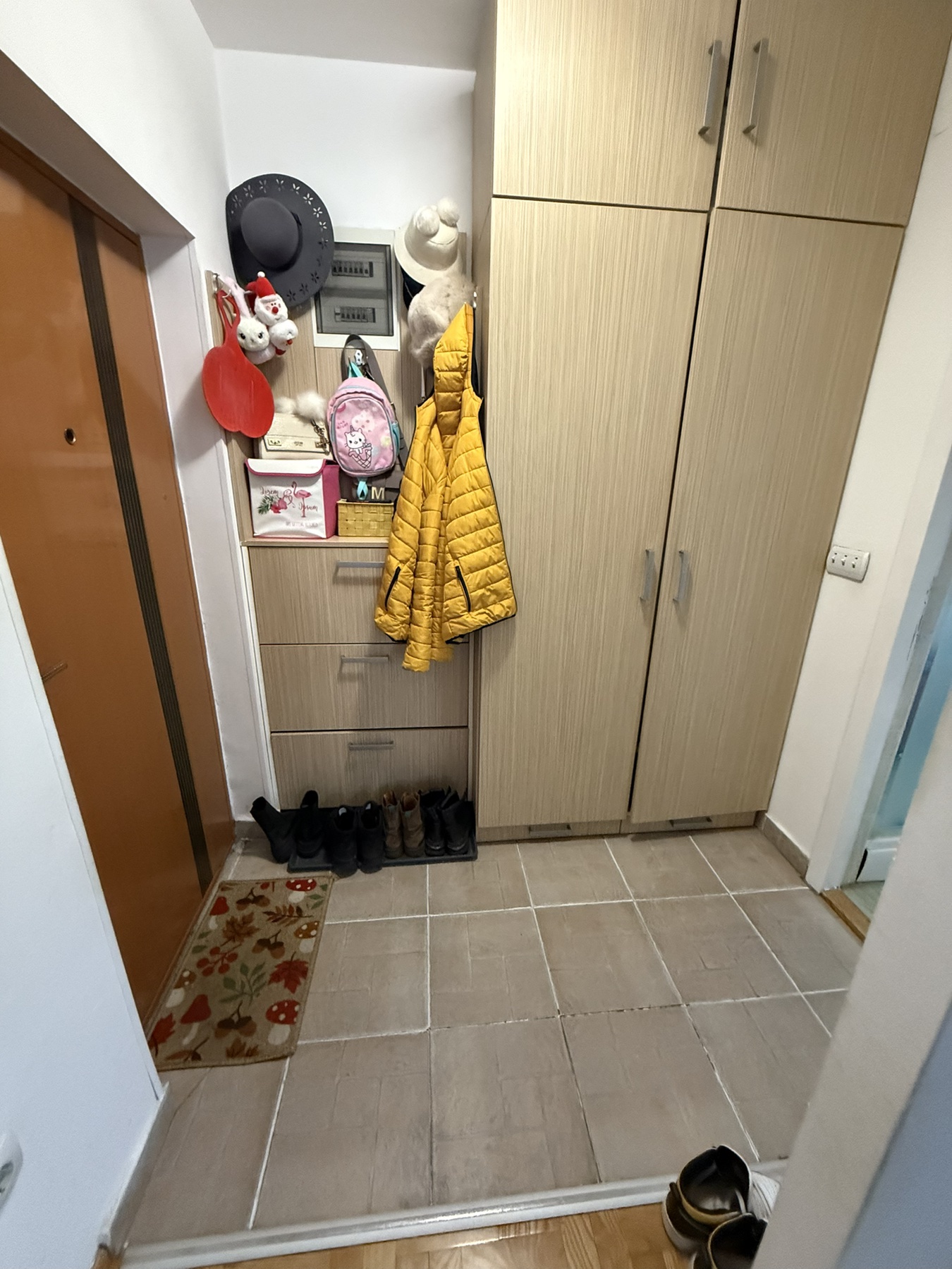 Dimitrija Koturovića Miljakovac ID#43971