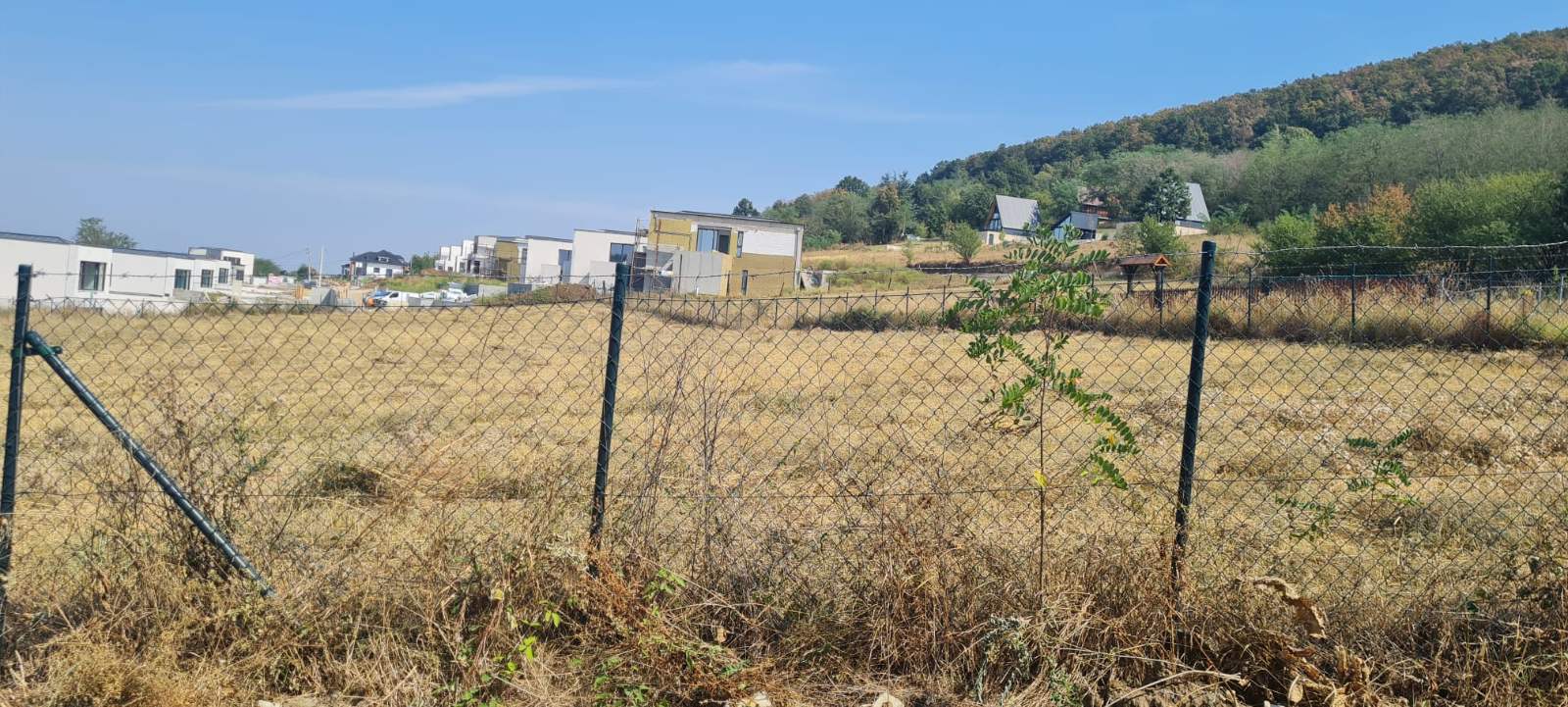 Kraljice Marije Kosmaj ID#43973