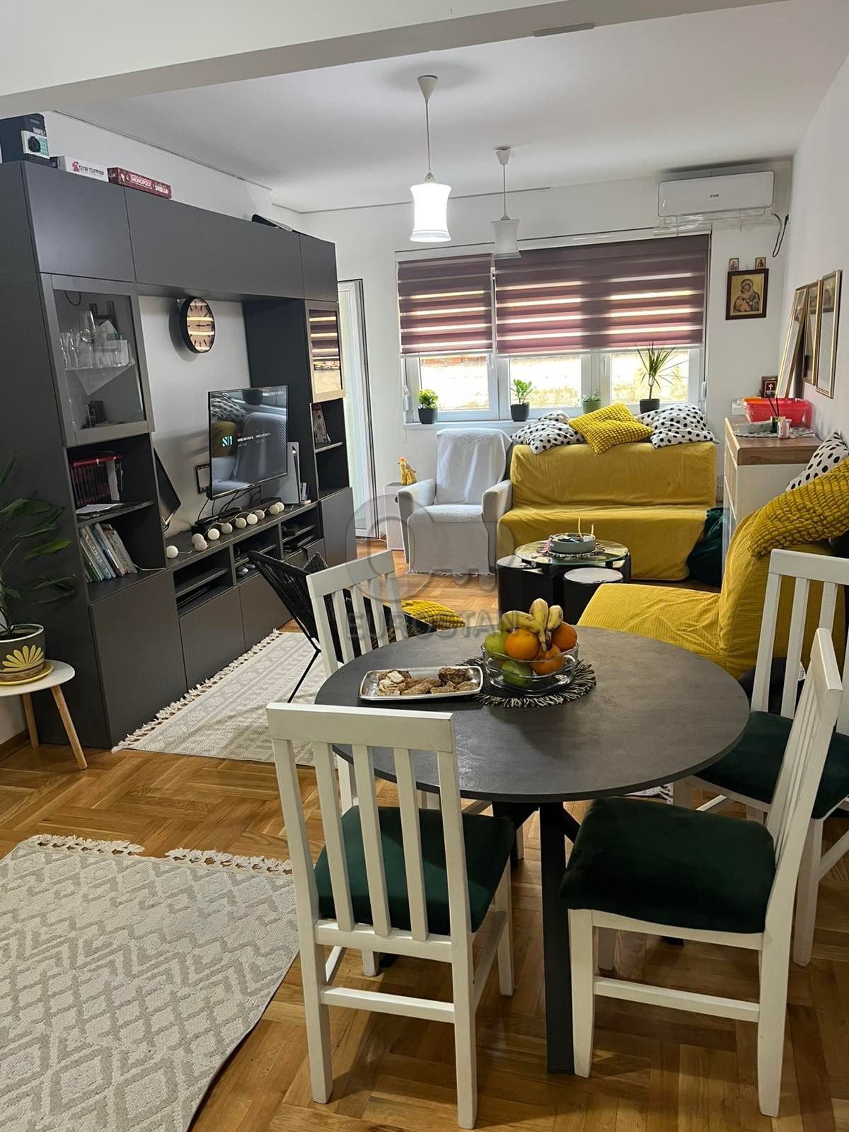 Budmanijeva Kluz ID#43982