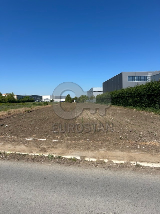 Oračko polje Zemun polje ID#44008