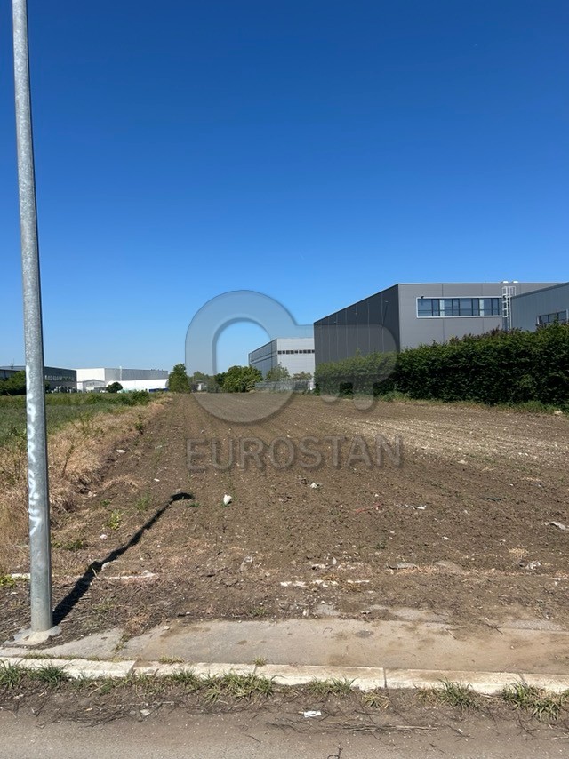 Oračko polje Zemun polje ID#44008