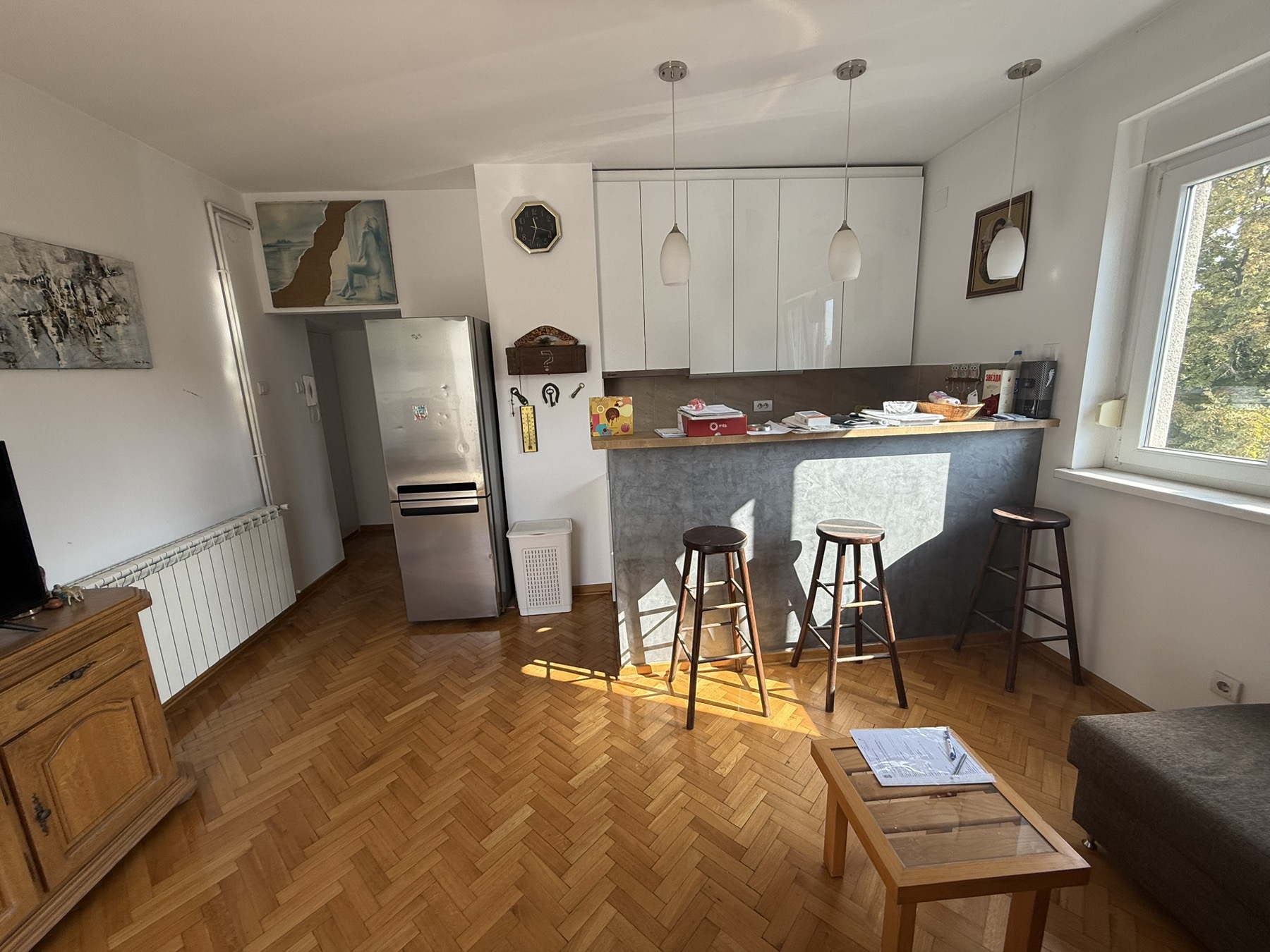 RENOVIRANA, UKNJIŽENA GARSONJERA, VRAČAR ID#44075